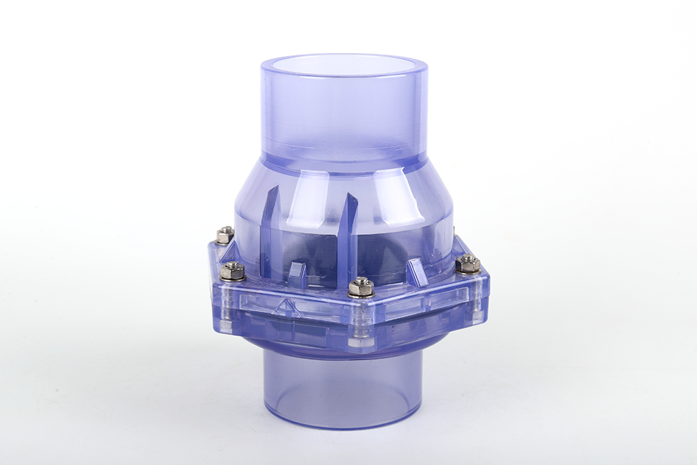 象山透明翻板式止回阀